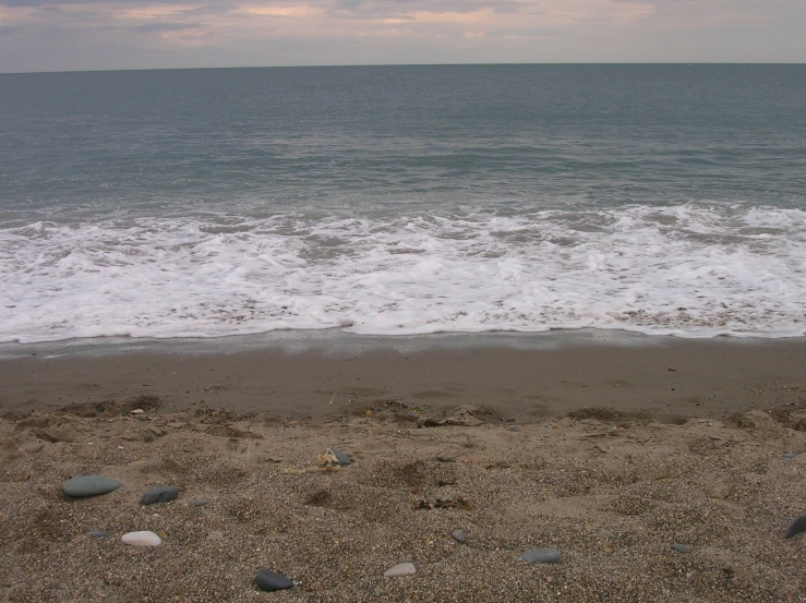 the sand and water is littered with shells