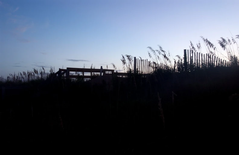 the top of a wooden structure near a field with tall grass