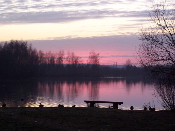 a bench is on the bank of a pond