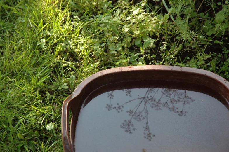 a close up view of a pan that has a plant reflection in it