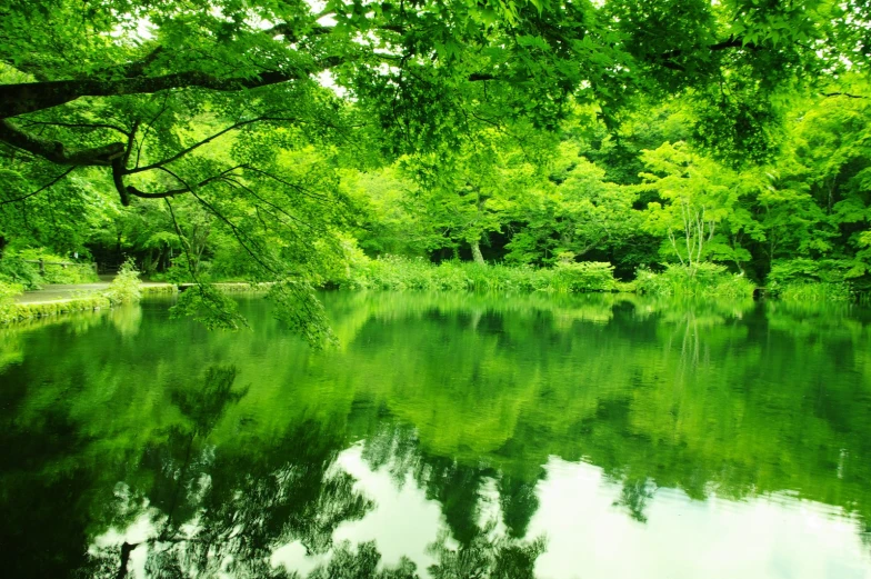 a lake with some green trees and clouds