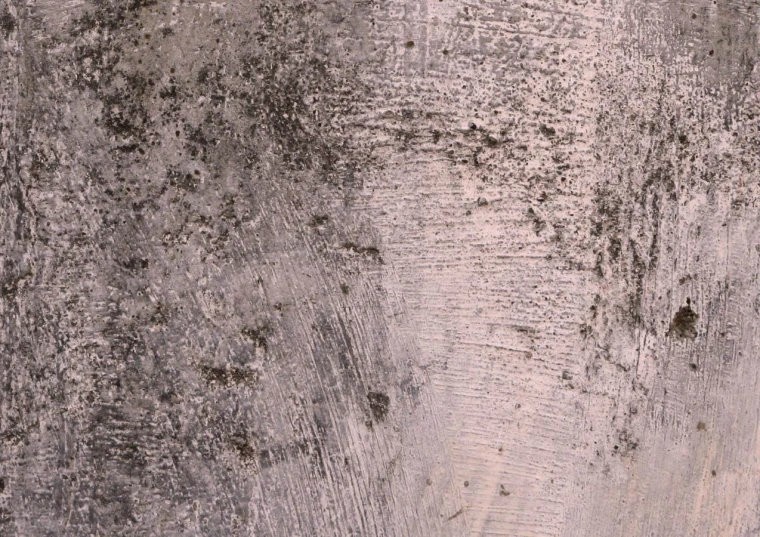 a closeup image of the surface of a wood surface