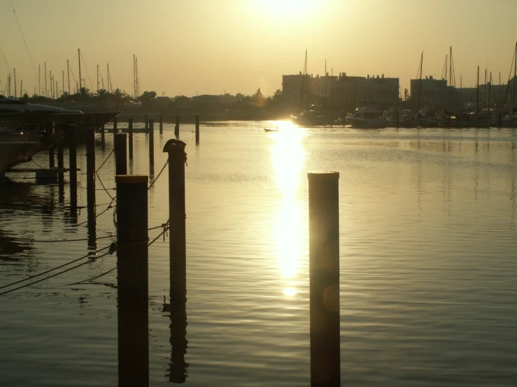 a harbor with tall poles that are in the water