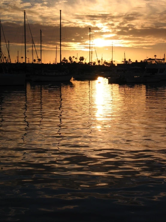 a body of water with many boats parked near each other