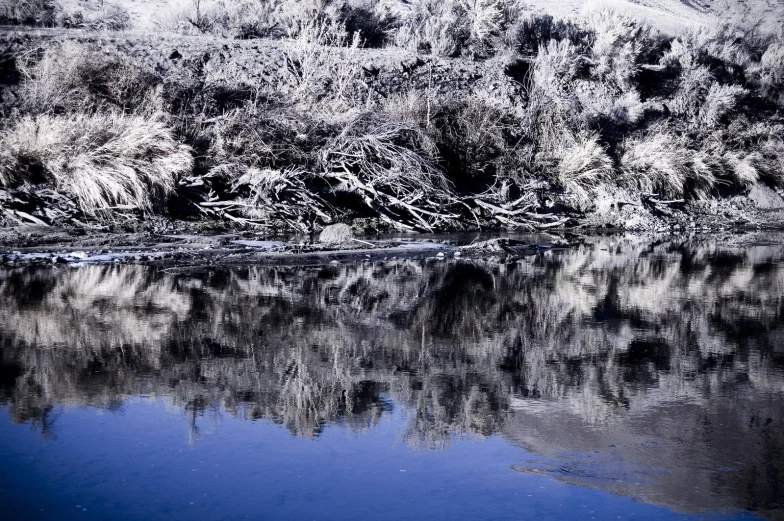 this black and white po shows mountains reflecting in a still river