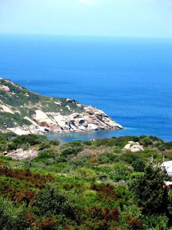 a hill with trees near the water and green bushes