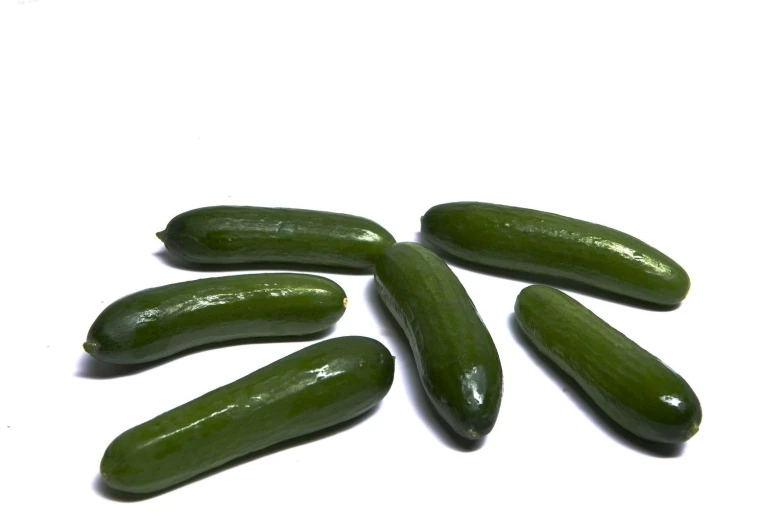 five small cucumbers lie together on the white surface