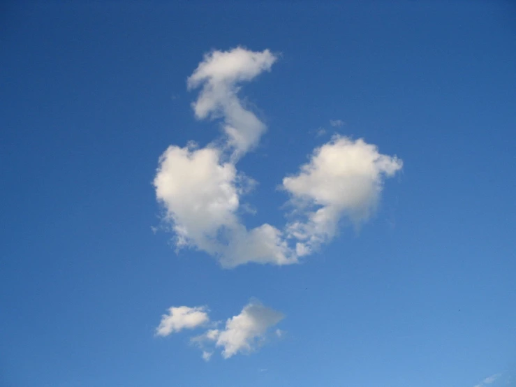 a very large cloud in the shape of a bird