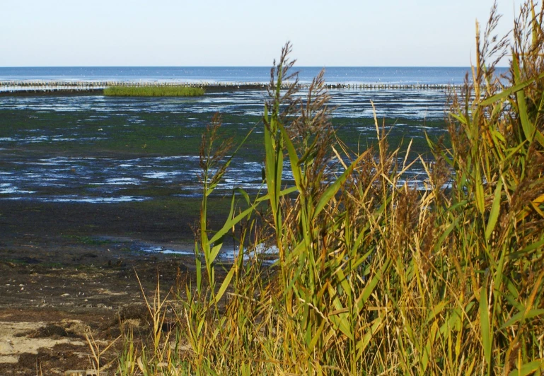 a sea view shows blue waters and land