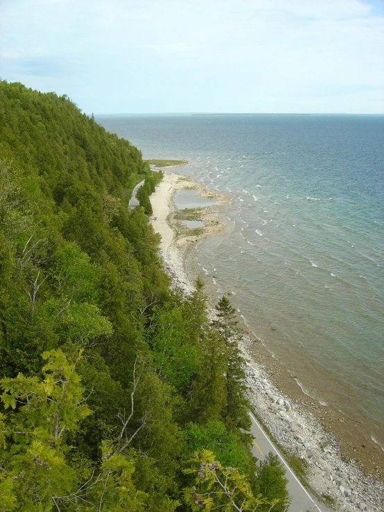 a view of the ocean and trees along the beach