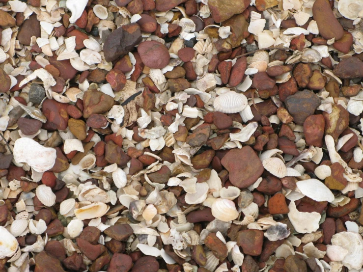 rocks and gravel are grouped together on the ground