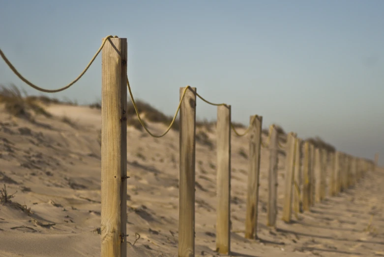 several wood posts on the beach are tied together