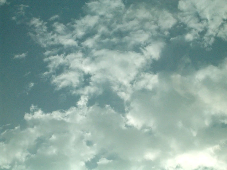 several small birds sitting on a nch while the sky is cloudy