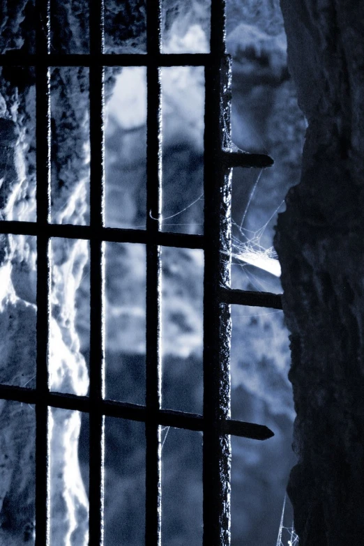 looking through a  cell at a snowy landscape