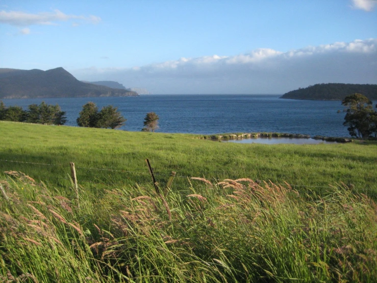 a view of a field, mountains, and blue water