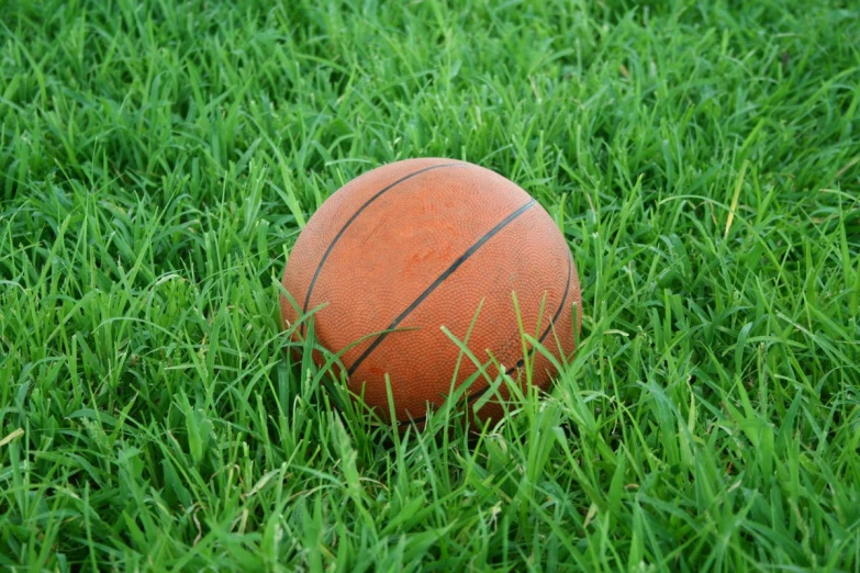 an orange basketball sitting on top of green grass