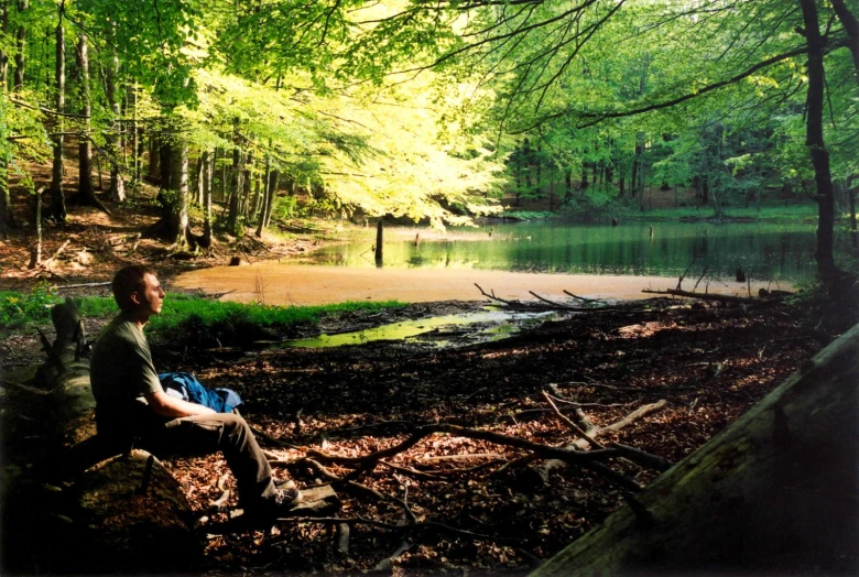 there is a man sitting on a bench at the edge of the forest