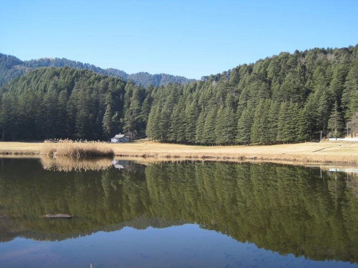 trees are shown in the distance near the water