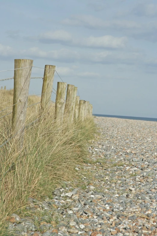 there are rocks, grass and an old fence on this beach