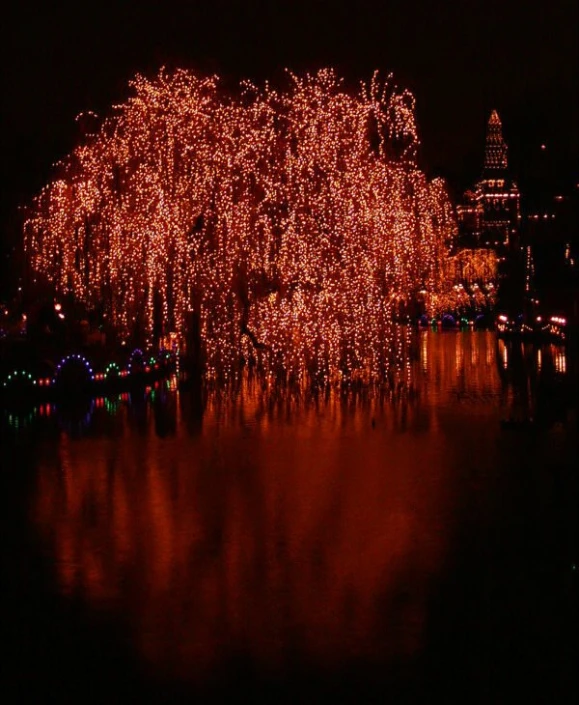 fireworks and other holiday lights are seen above a lake