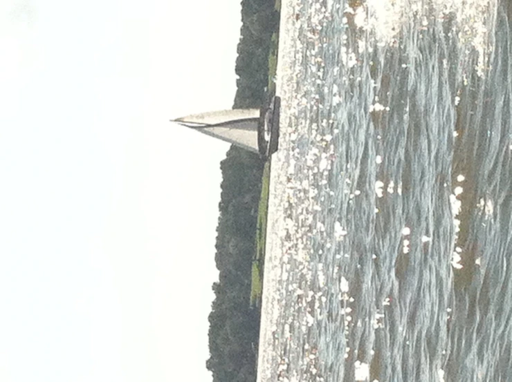 the sail boat is going across the water