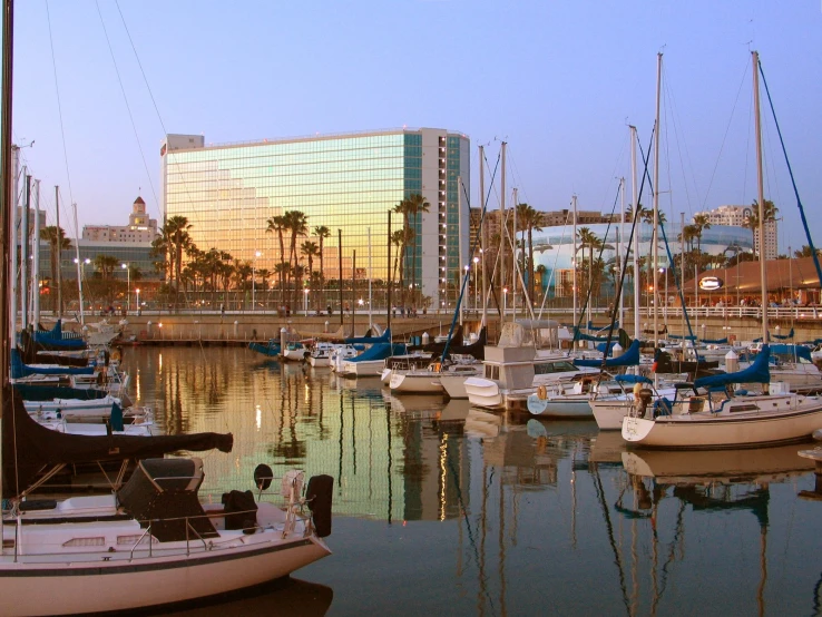 the marina has many sail boats docked in it