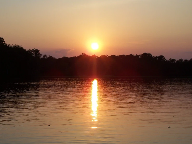 the sun is setting on a river with trees in the background