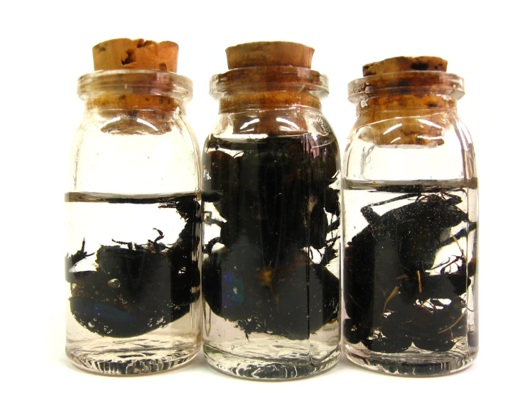 three glass jars with black stuff in them