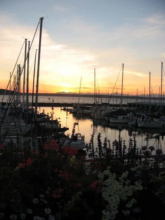 there are several sailboats docked on the water