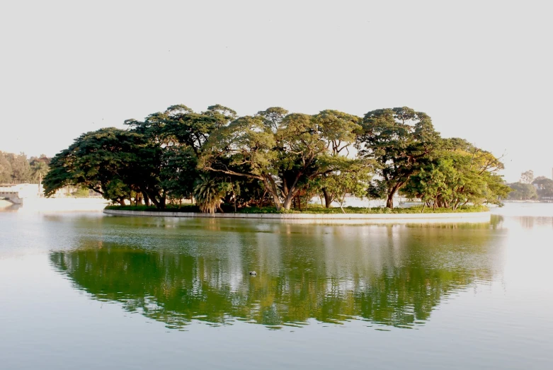 the trees and trees on this lake are reflected in the water