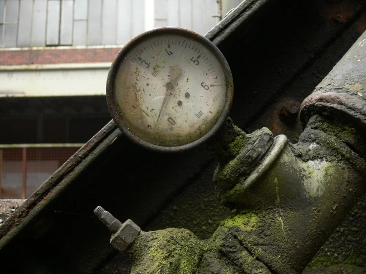 a large pressure gauge with mossy plants growing on the side
