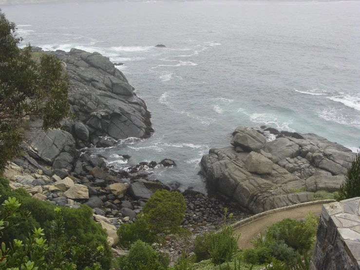 a rocky beach covered in green plants next to the ocean