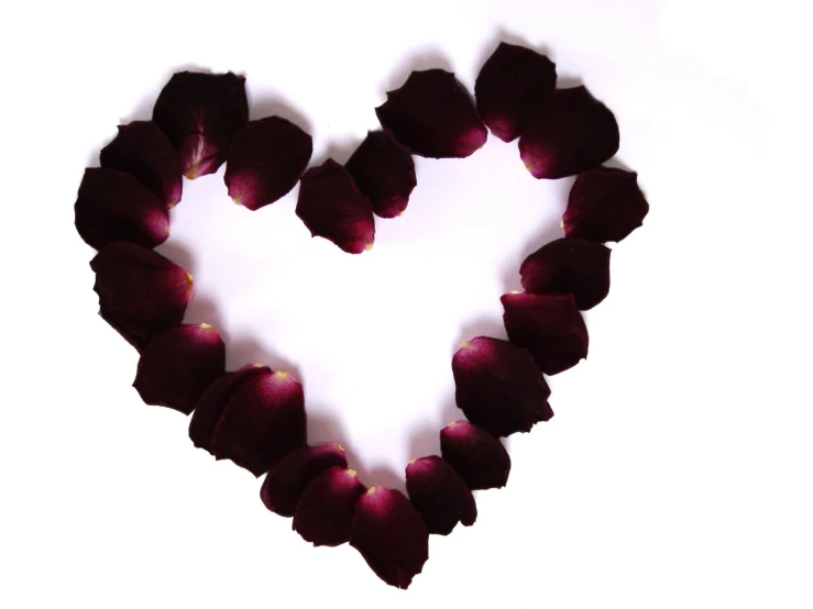 a heart made from petals is shown on a white background
