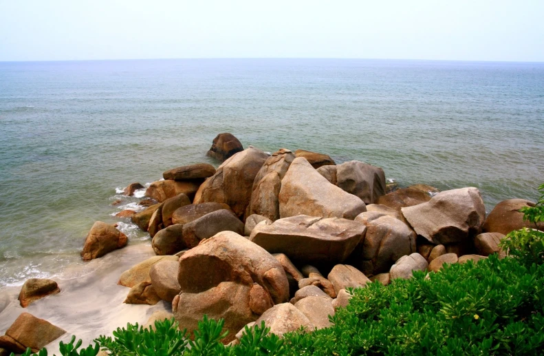 rocks on the shore of an ocean with lots of vegetation