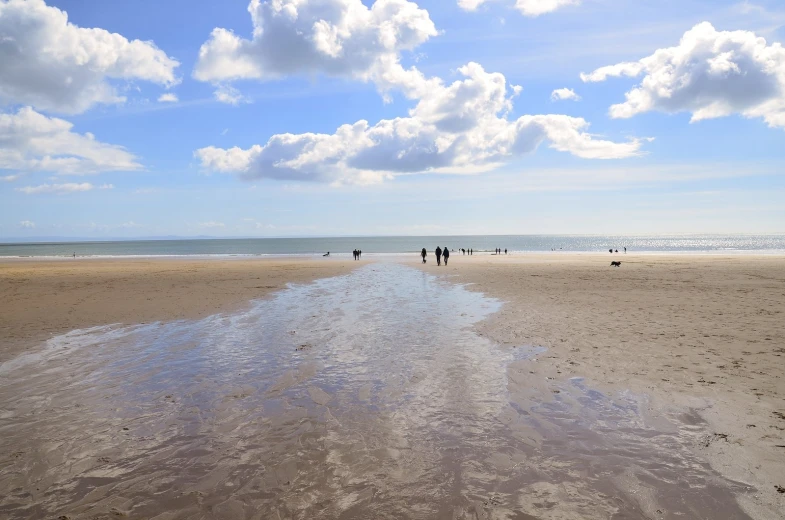 group of people walk on the beach near water