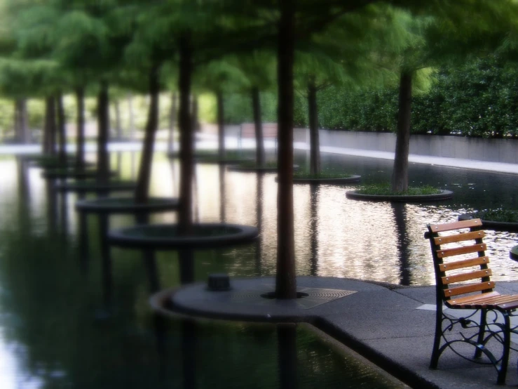 a bench on the edge of a reflecting pond