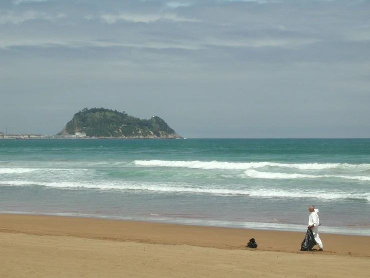 a person walking on a beach with a dog on a leash