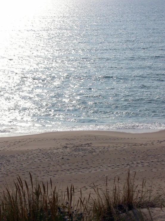 a bench at the edge of a beach next to the ocean