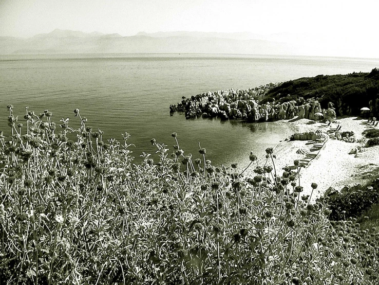 a black and white po of an ocean shore