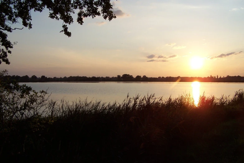 the sun is setting over a small lake with high grass