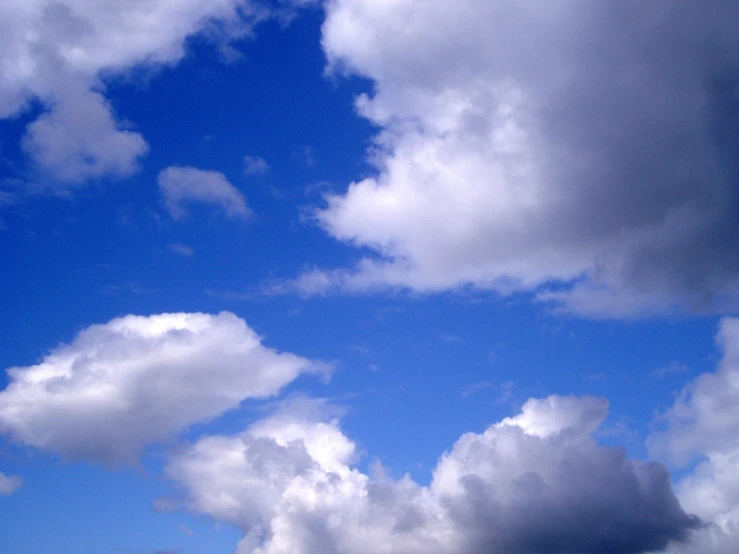 several birds fly in the sky while clouds loom overhead