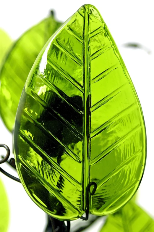a glass leaf shape sculpture sits in front of some shiny green decorations