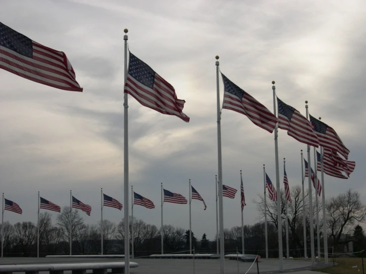 many different flags flying in the air near trees