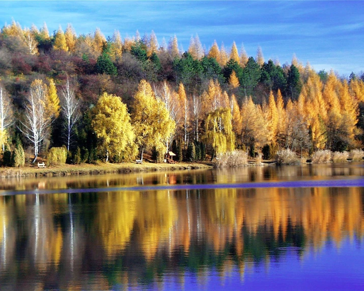 a lake with some trees surrounding it in autumn