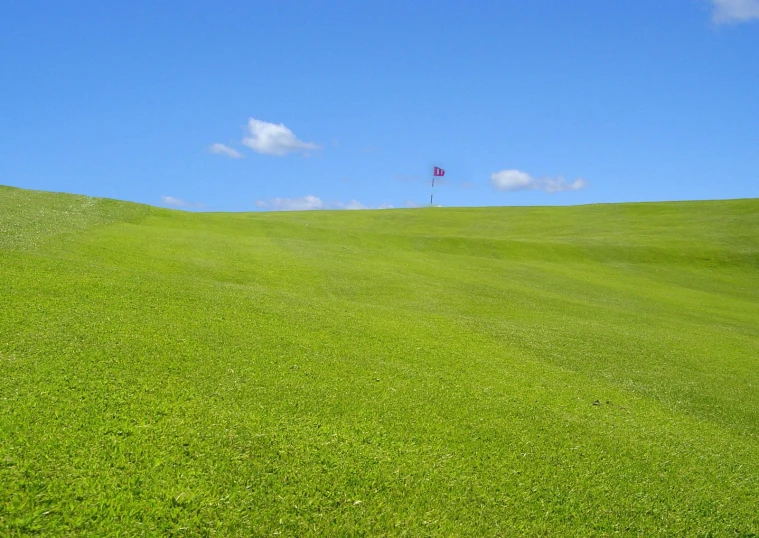 green grass is a green hill with a blue sky in the background