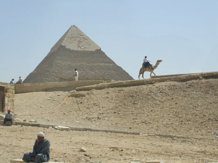 two camels are sitting on top of a stone wall