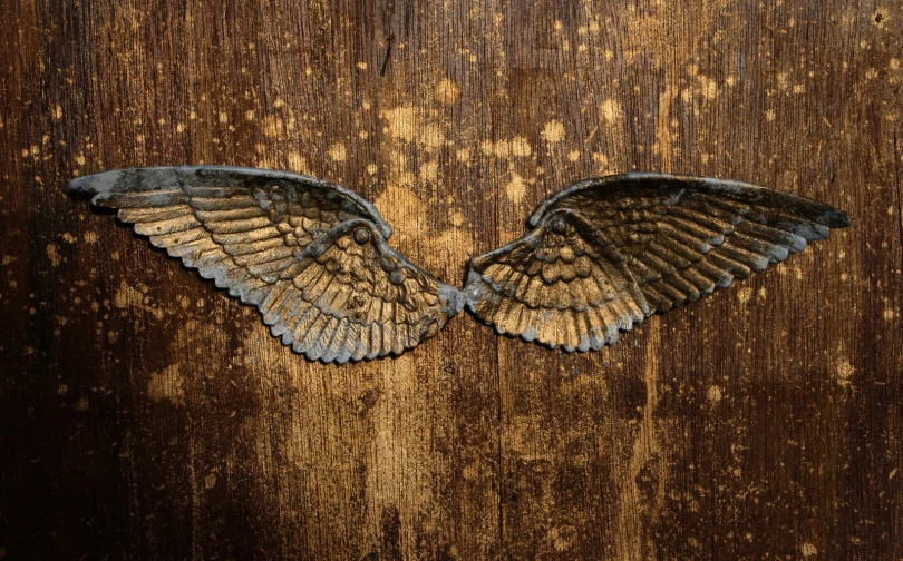 two blue bird wings hanging from the side of a wooden door