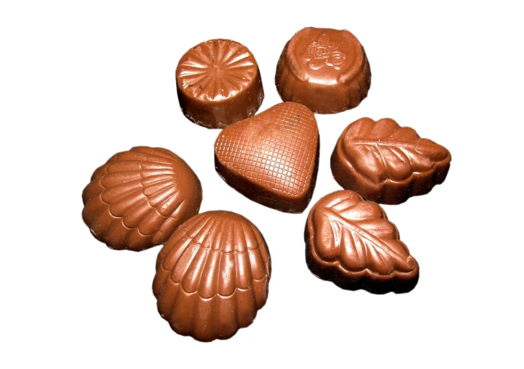 chocolate candy with a shell shape on the top