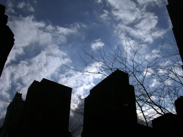 some buildings and bare tree nches with sky in background