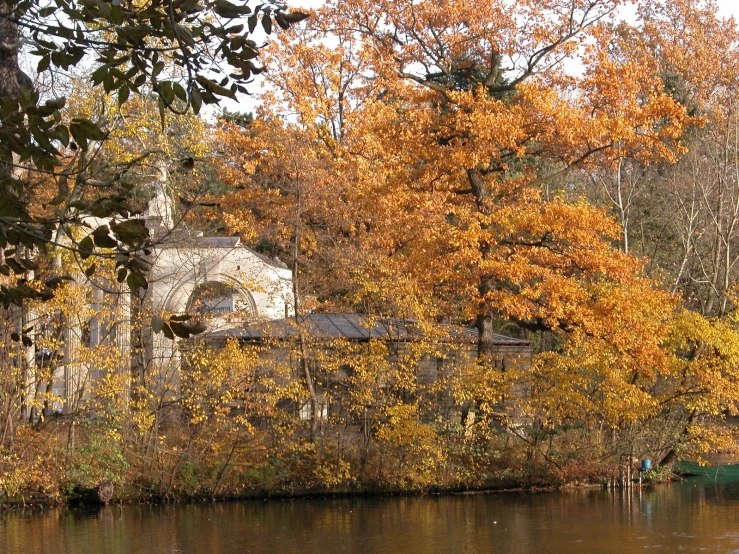 a building sits next to a tree near the water